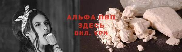 2c-b Новозыбков
